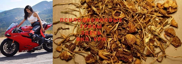 гашишное масло Белокуриха