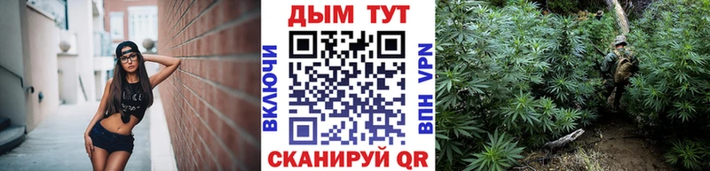 Канабис ГИДРОПОН Югорск